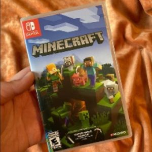 Minecraft switch